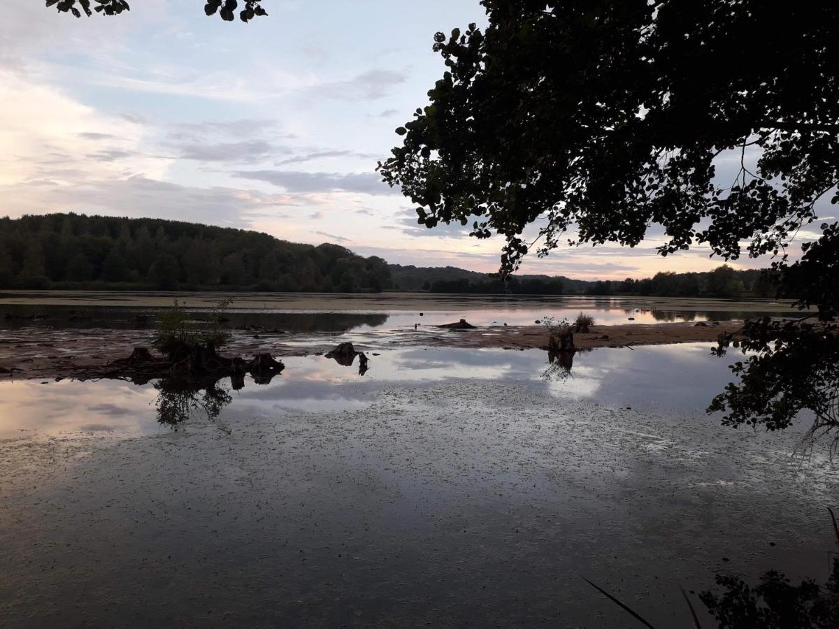 La Maison Du Colombophile Neuville-sur-Ailette Kültér fotó
